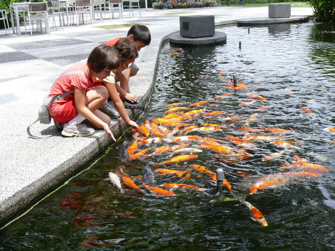 20140622162616-b819dd46.jpg