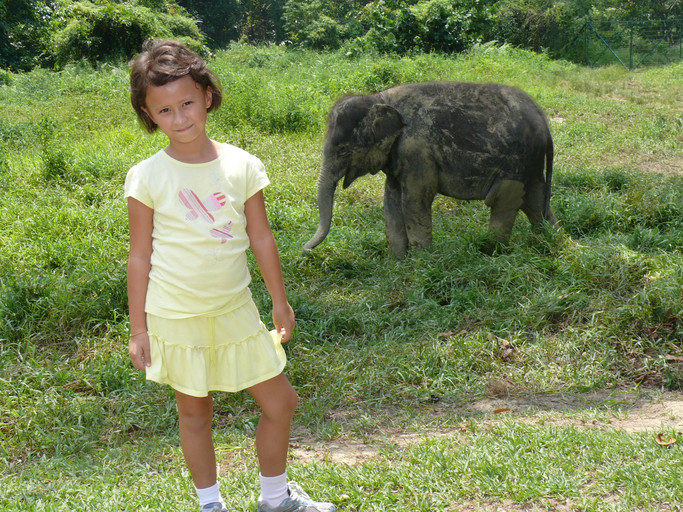 20140622162740-42b2587c.jpg