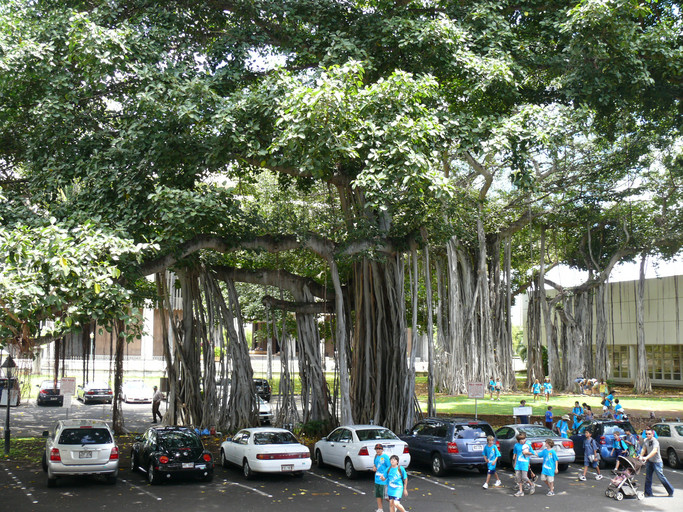 20140622164909-aa37d32b.jpg