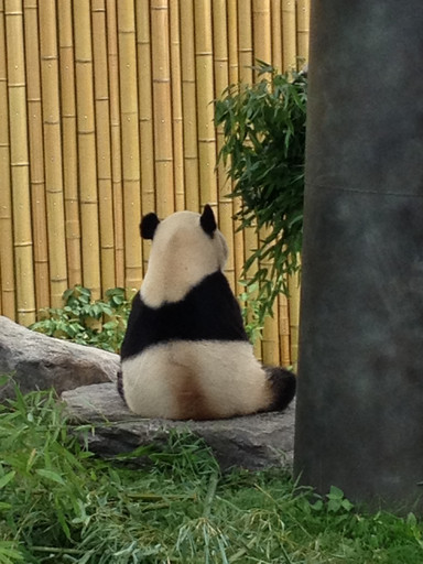 20140622192524-3901fa99.jpg