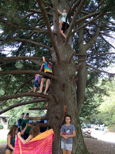 20140622192931-dc633b7d.jpg