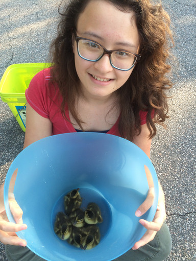 20160515182815-23542174.jpg