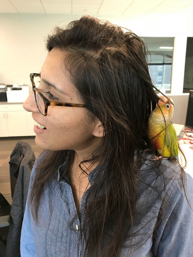 20171006100240-7421072b.jpg