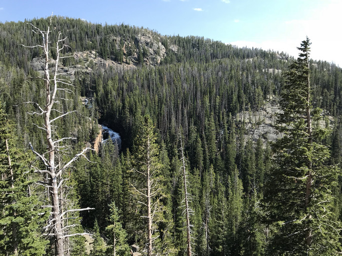 20180819133622-910724ed.jpg
