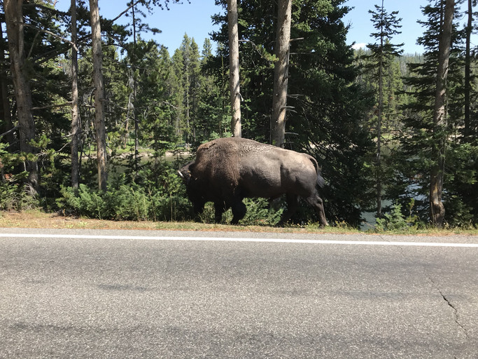 20180819135937-3c9d5691.jpg