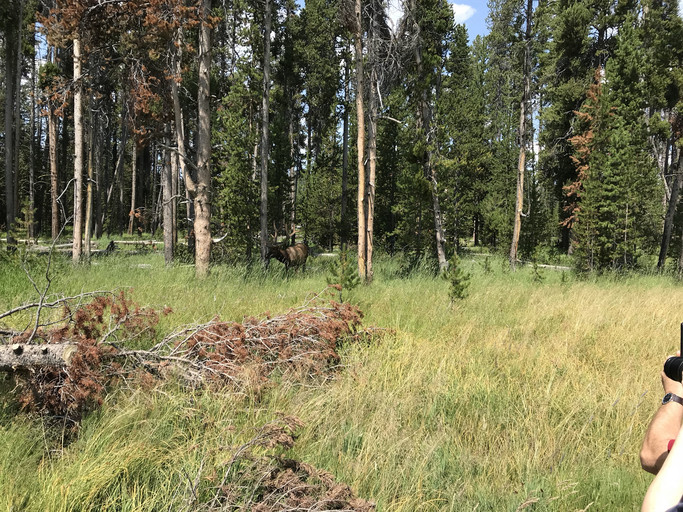20180819135944-fe085e1d.jpg