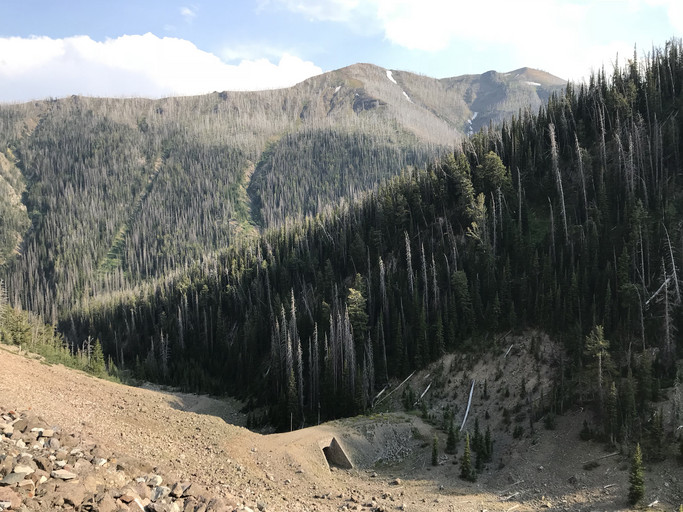 20180819140116-112c238b.jpg
