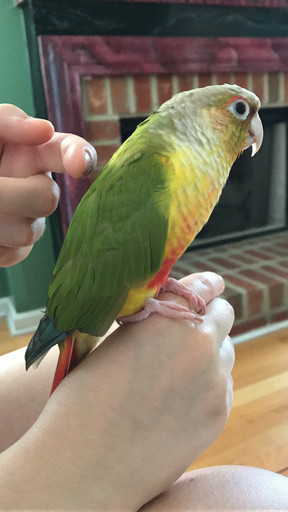 20170529174417-c421cf0d.jpg