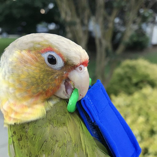 20180602181151-cc5f18bf.jpg