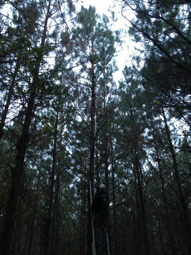 20140621153928-1eca3b5c.jpg